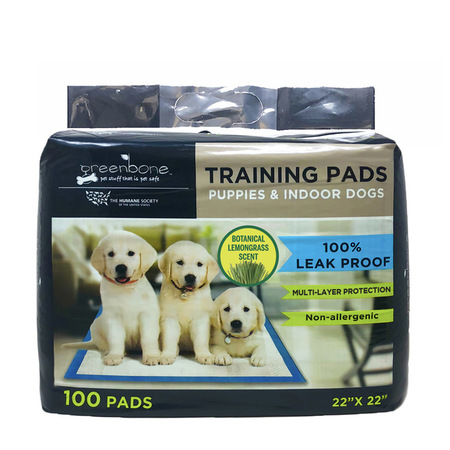 ANIMAL PLANET Pet Training Pads 100Ct 35302